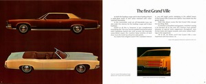 1971 Pontiac Full Size (Cdn)-08-09.jpg